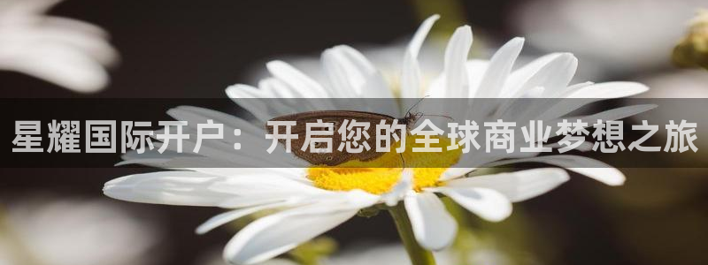 华信娱乐股份：星耀国际开户：开启您的全球商业梦想之旅