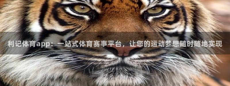 华信娱乐平台：利记体育app：一站式体育赛事平台，让您的运动梦想随时随地实现