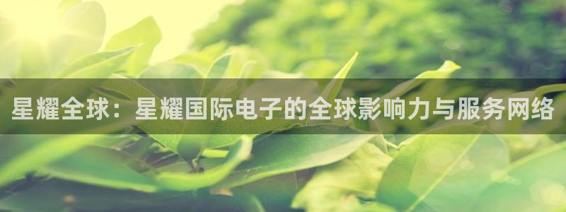 华信娱乐k：星耀全球：星耀国际电子的全球影响力与服务网络