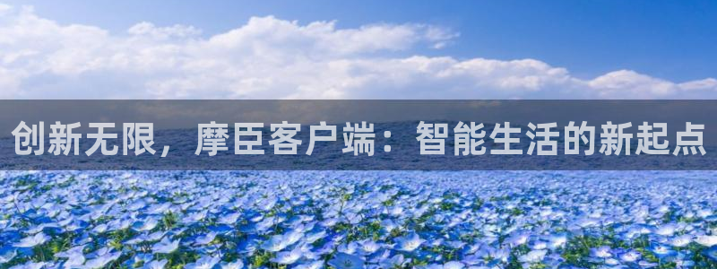 华信娱乐4登录：创新无限，摩臣客户端：智能生活的新起点
