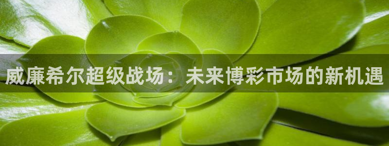 华信娱乐体育2：威廉希尔超级战场：未来博彩市场的新机遇