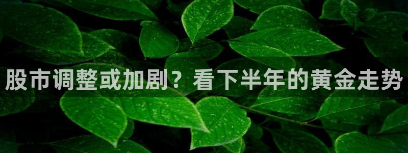 华信娱乐4：股市调整或加剧？看下半年的黄金走势