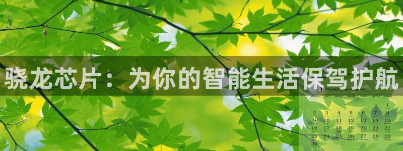 华信娱乐.com：骁龙芯片：为你的智能生活保驾护航