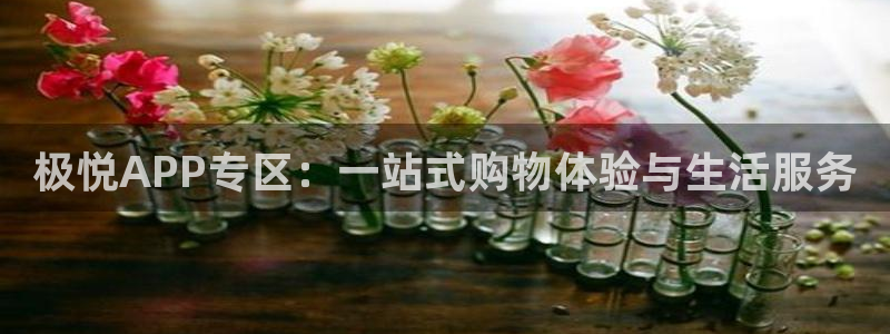 华信娱乐vip麻将胡了：极悦APP专区：一站式购物体验与生活服务