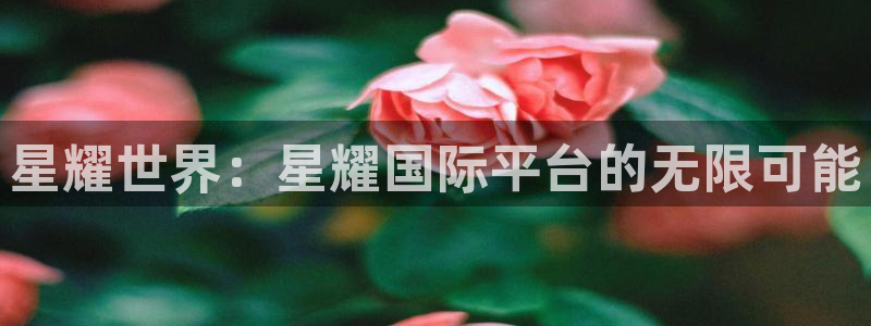 pg华信娱乐平台下载入口：星耀世界：星耀国际平台的无限可能