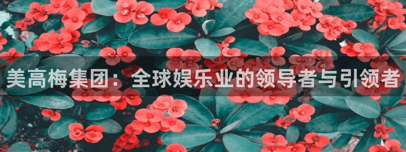 华信娱乐可靠吗：美高梅集团：全球娱乐业的领导者与引领者