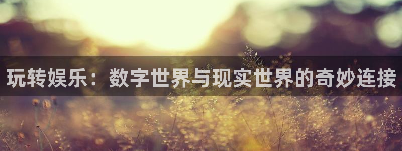 华信娱乐游戏：玩转娱乐：数字世界与现实世界的奇妙连接