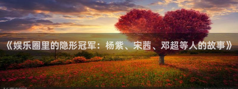 华信娱乐f凯捷平台在线注册：《娱乐圈里的隐形冠军：杨紫、宋茜、邓超等人的故事》