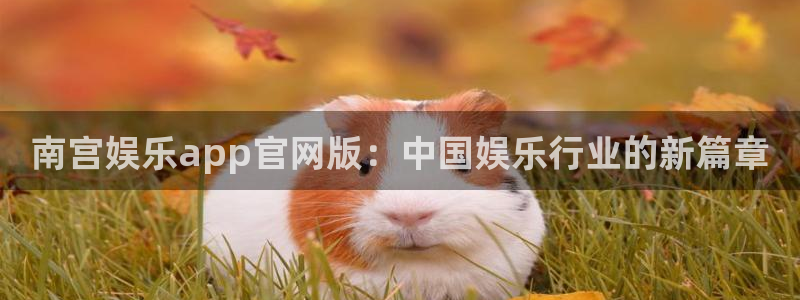 华信娱乐平台官网：南宫娱乐app官网版：中国娱乐行业的新篇章
