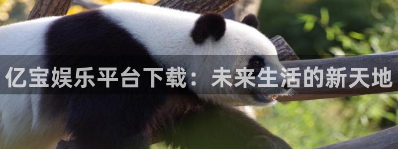 华信娱乐哪个游戏好爆：亿宝娱乐平台下载：未来生活的新天地