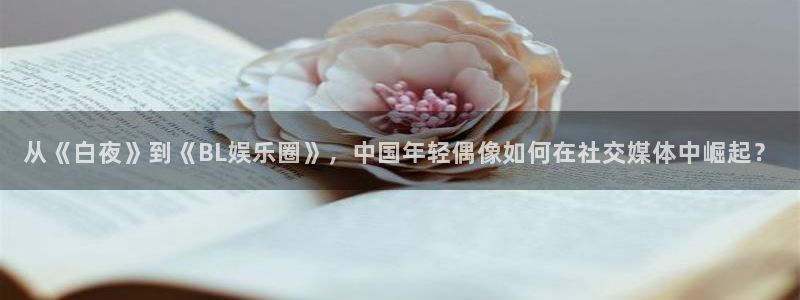 华信娱乐平台：从《白夜》到《BL娱乐圈》，中国年轻偶像如何在社交媒体中崛起？