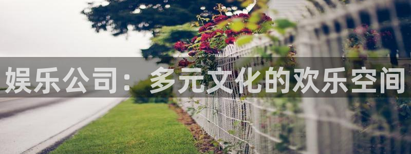 华信娱乐3代理：娱乐公司：多元文化的欢乐空间