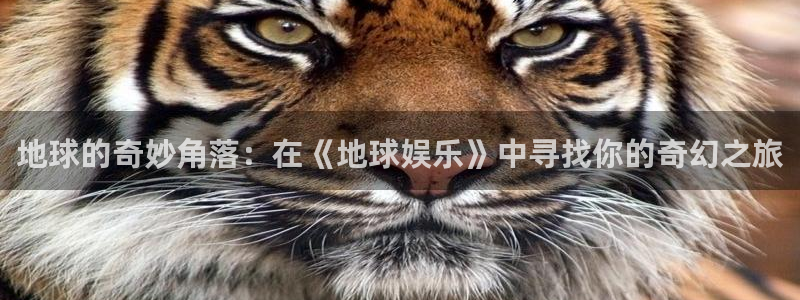 华信娱乐能源：地球的奇妙角落：在《地球娱乐》中寻找你的奇幻之旅