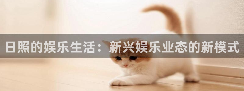 佛山市南海华信娱乐机电仪器有限公司：日照的娱乐生活：新兴娱乐业态的新模式