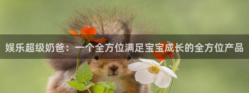 华信娱乐2注册：娱乐超级奶爸：一个全方位满足宝宝成长的全方位产品