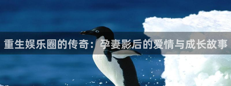 华信娱乐平台官网版最新：重生娱乐圈的传奇：孕妻影后的爱情与成长故事