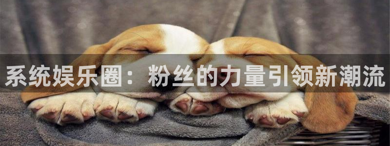 华信娱乐体育官网登录：系统娱乐圈：粉丝的力量引领新潮流