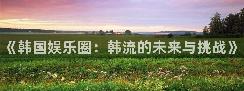 华信娱乐app下载：《韩国娱乐圈：韩流的未来与挑战》