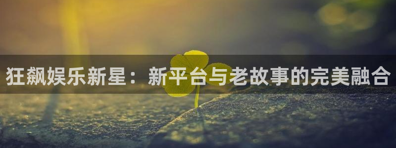 华信娱乐网页版登