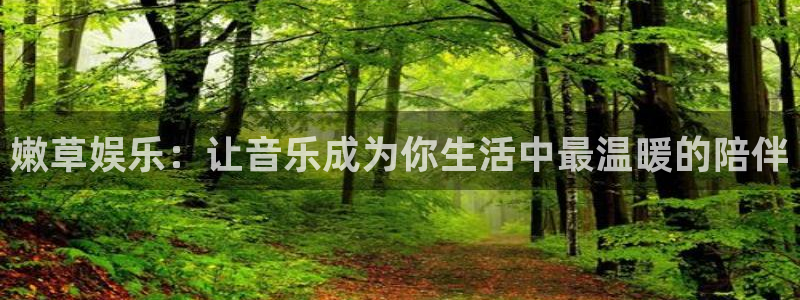 华信娱乐app哪个模式容易赢