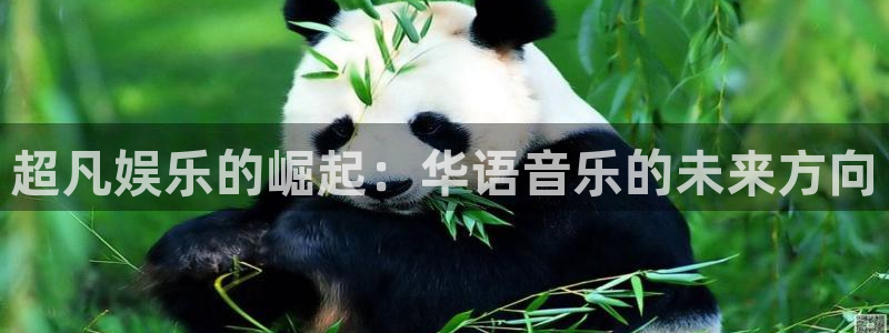 华信娱乐集团官网：超凡娱乐的崛起：华语音乐的未来方向