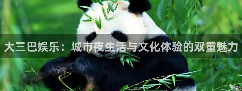 华信娱乐.ccm官网版：大三巴娱乐：城市夜生活与文化体验的双重魅力