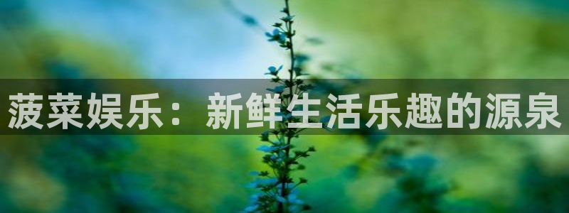 华信娱乐app新版上线体验.游戏更新入口.中国：菠菜娱乐：新鲜生活乐趣的源泉