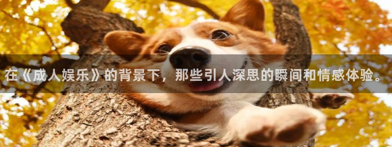 华信娱乐体育注册：在《成人娱乐》的背景下，那些引人深思的瞬间和情感体验。