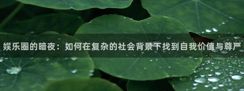 华信娱乐注册入口：娱乐圈的暗夜：如何在复杂的社会背景下找到自我价值与尊严