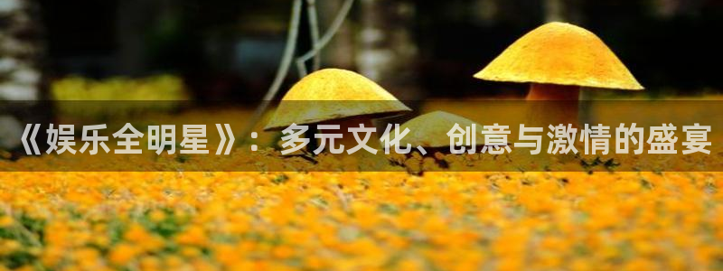 华信娱乐平台：《娱乐全明星》：多元文化、创意与激情的盛宴