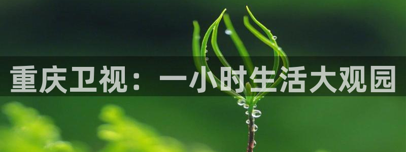 华信娱乐体育官网：重庆卫视：一小时生活大观园