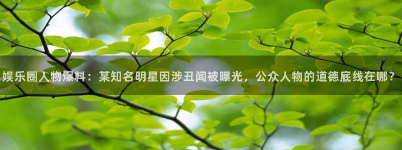 pg华信娱乐平台下载入口：娱乐圈人物爆料：某知名明星因涉丑闻被曝光，公众人物的道德底线在哪？