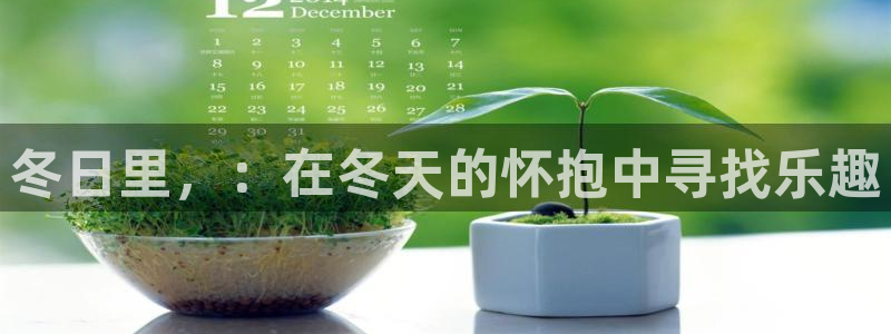 pg华信娱乐平台下载入口：冬日里，：在冬天的怀抱中寻找乐趣