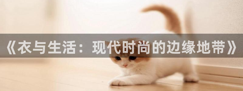 华信娱乐.ccm官网版：《衣与生活：现代时尚的边缘地带》