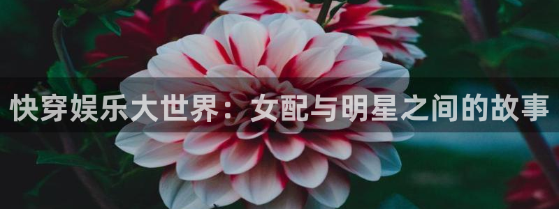 华信娱乐下载并安装：快穿娱乐大世界：女配与明星之间的故事