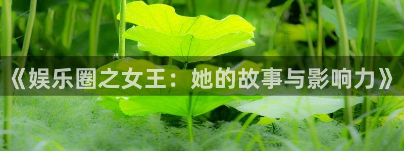 华信娱乐3登陆：《娱乐圈之女王：她的故事与影响力》