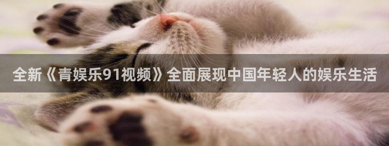 华信娱乐登录：全新《青娱乐91视频》全面展现中国年轻人的娱乐生活