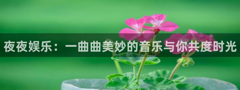 华信娱乐是正规平台吗：夜夜娱乐：一曲曲美妙的音乐与你共度时光
