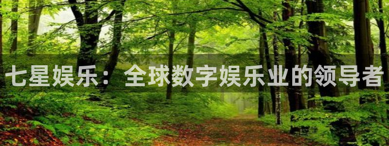 华信娱乐手机版下载：七星娱乐：全球数字娱乐业的领导者