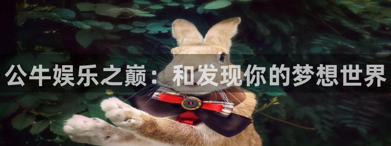 华信娱乐注册网站链接：公牛娱乐之巅：和发现你的梦想世界