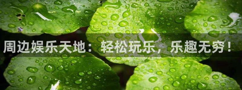 华信娱乐体育平台注册：周边娱乐天地：轻松玩乐，乐趣无穷！