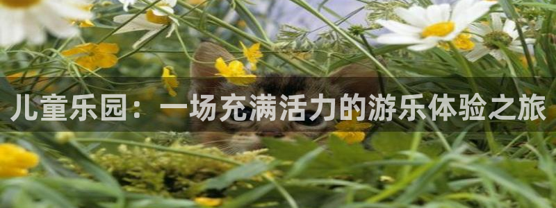 华信娱乐注册网站：儿童乐园：一场充满活力的游乐体验之旅